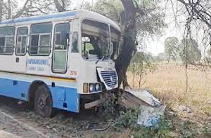 हरियाणा रोडवेज की सवारी से भरी बस पेड़ से टकराई