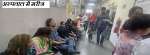कुट्टू