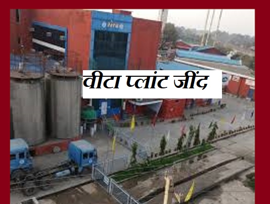 वीटा का घी