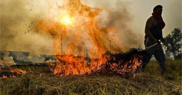 हरियाणा में पराली जलाने के मामलों में 95% की गिरावट