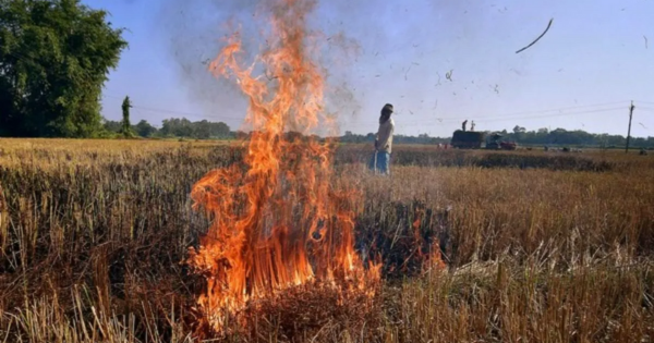 सिरसा में पराली जलाने पर सख्त कार्रवाई